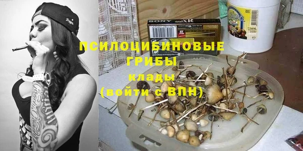 спиды Беломорск