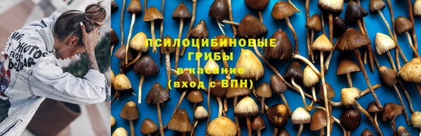 спиды Беломорск