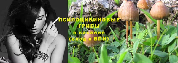 мдпв Белокуриха